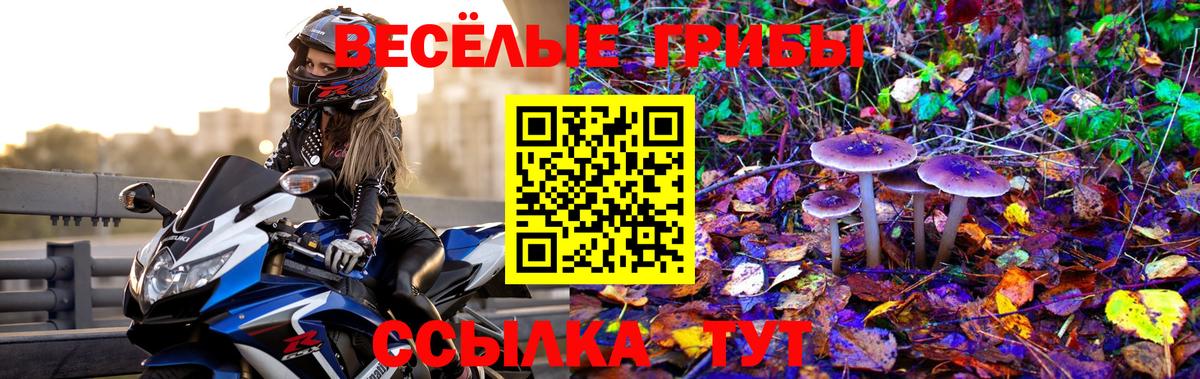 Орск  Псилоцибиновые грибы MAGIC MUSHROOMS  Вход с VPN 