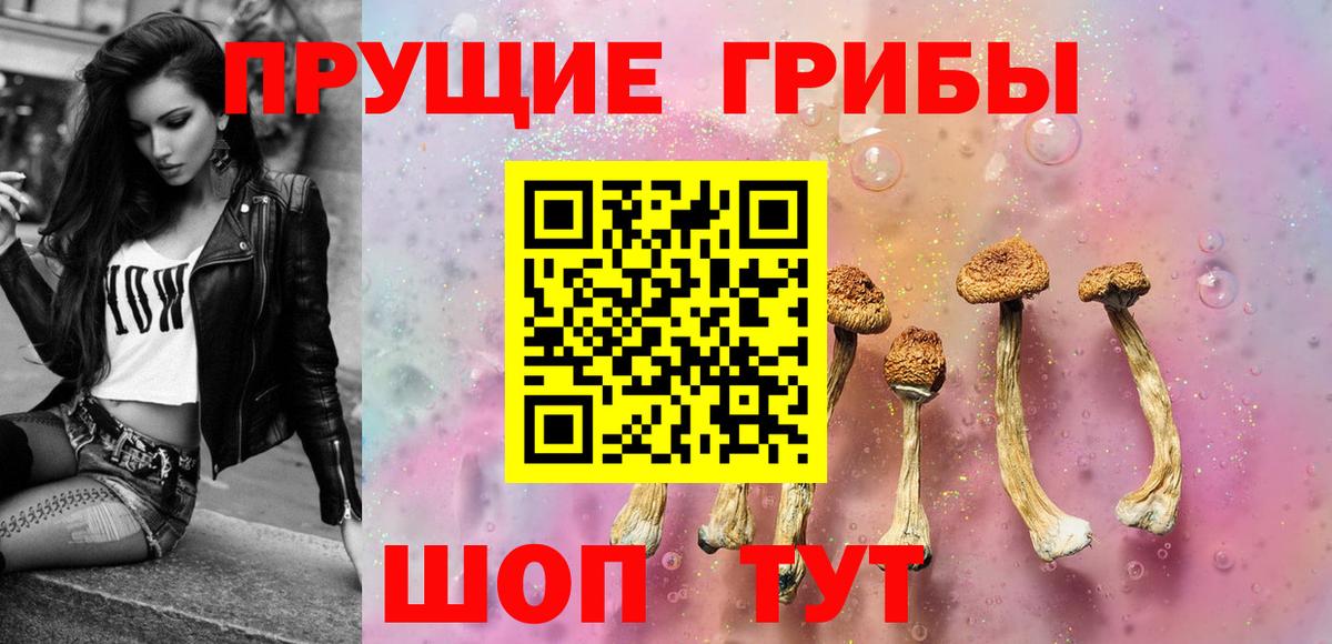 Галлюциногенные грибы Cubensis Орск